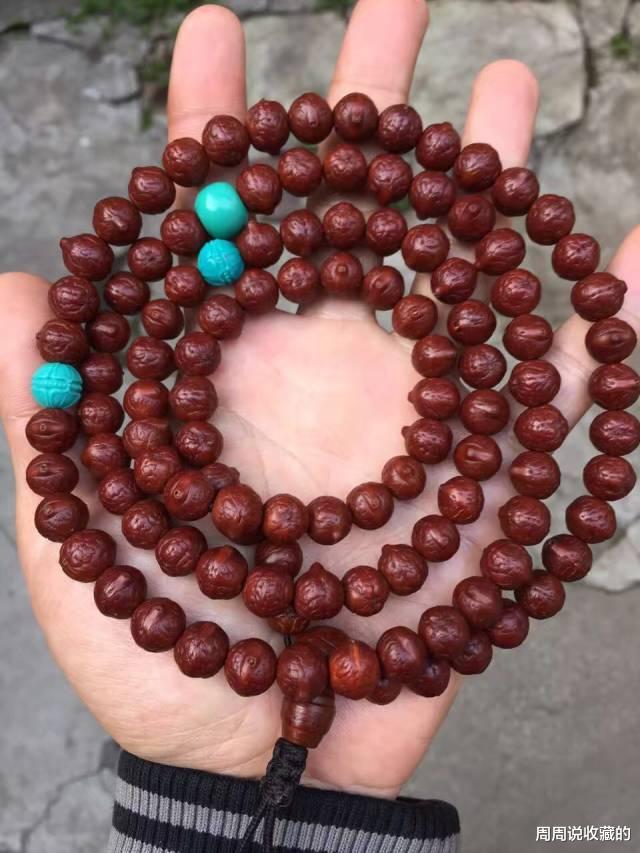 菩提|菩提品种太多不知道怎么选，其实文玩圈主流菩提并不多，只有四种