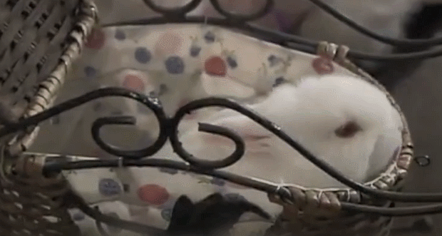 沙溢|吓尿了！16年前的国产剧，尺度竟如此惊人？