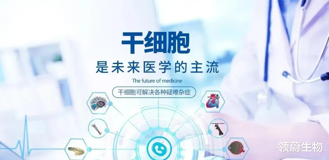 领蔚生物 干细胞疗法前必读｜回输进体内的干细胞都去哪了？