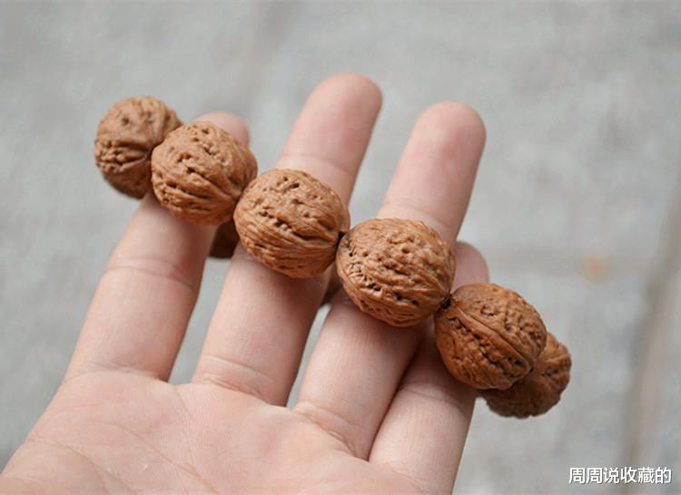 山核桃|野生山核桃手串为什么贵？主要看这3点