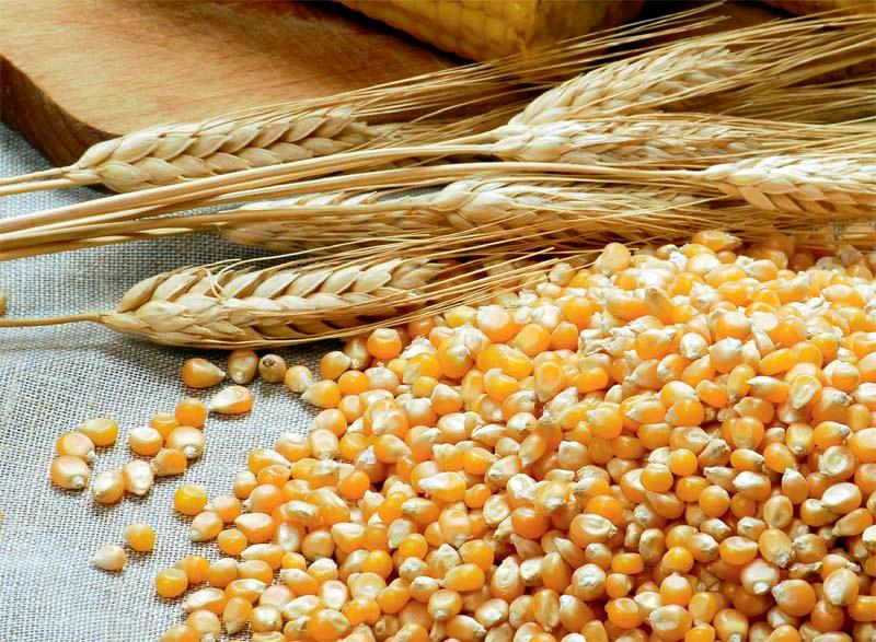 科学家 颠覆性的发现、科幻中的现象出现在现世