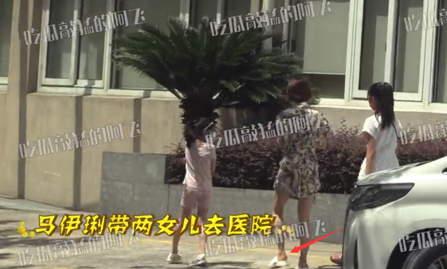 马伊琍|马伊琍独自带两女儿去医院，爱马身高和妈妈持平，文章复出拍电影
