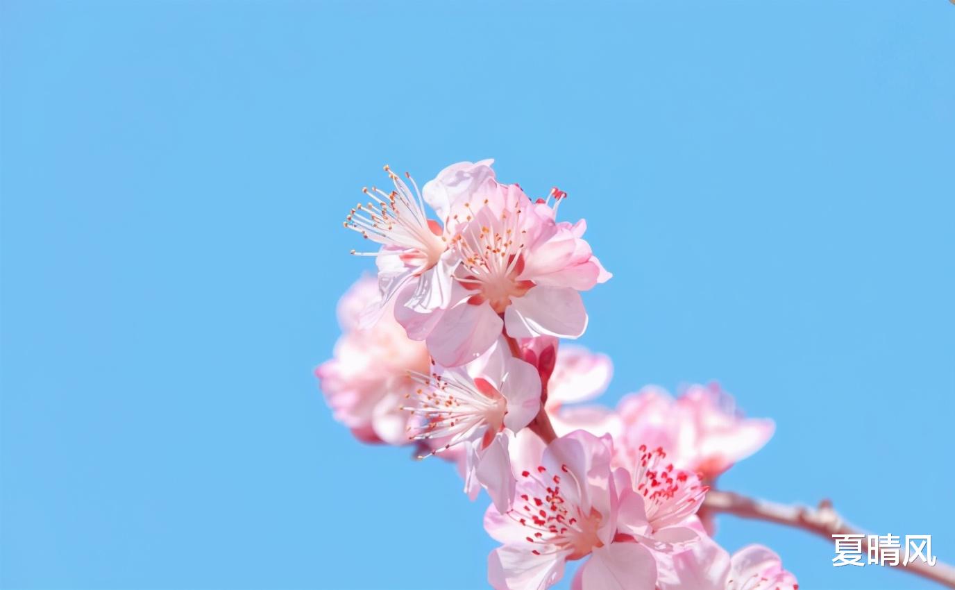 夏晴风 长期不换微信头像的人,有这三种,最后一种最值得深交