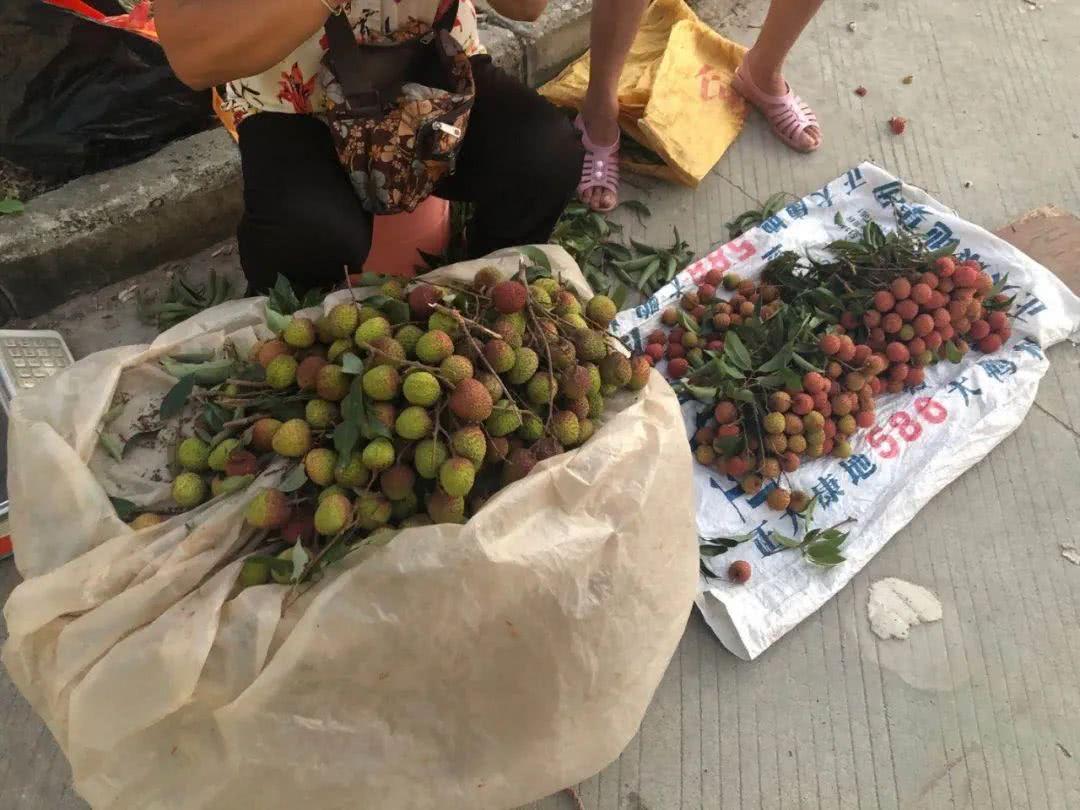 大炮说三农 价格“断崖式”下跌，只剩3元/斤，果农很着急，中间商要哭了