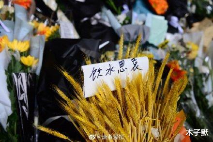 木子默 送别袁隆平,长沙,因为一个人从此爱上这座城