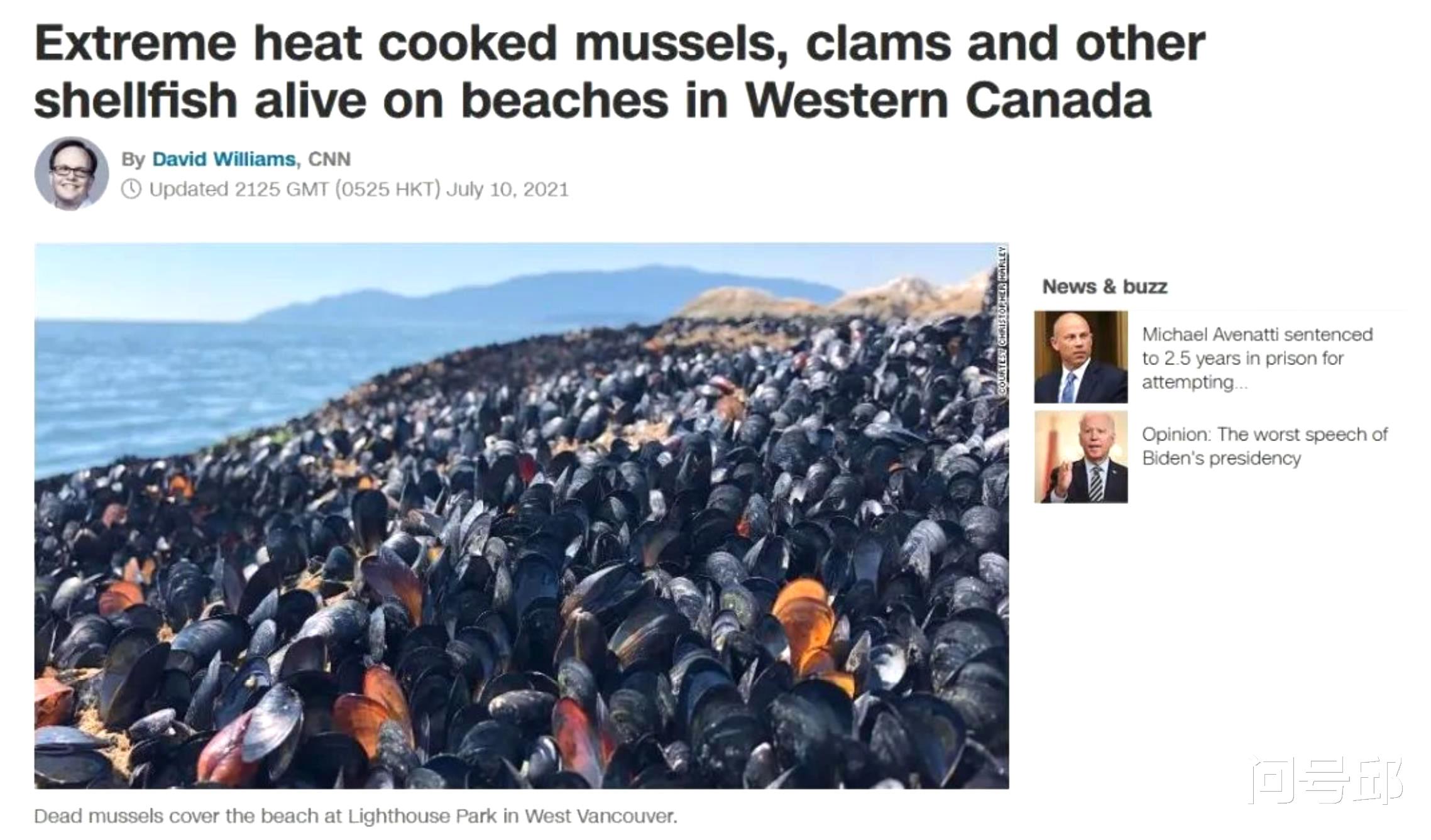 加拿大海邊上演活烤10億貝類，50℃高溫直接將海灘變成瞭天然烤箱-圖3
