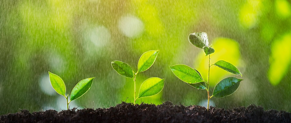 火星 为什么水对地球上的生命至关重要