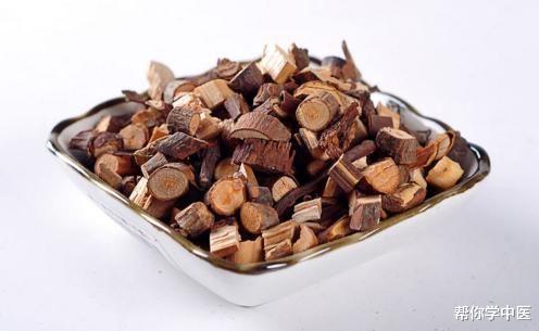 桂枝|寒邪一把刀!千年散寒方,治剧烈腰腿疼,值得流传的中医知识