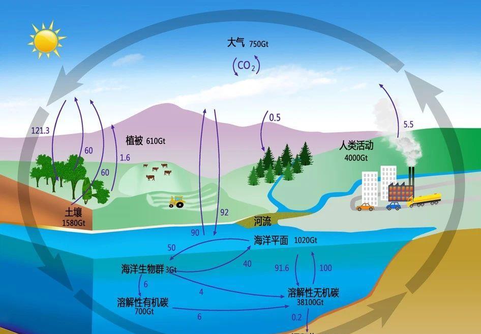 蜘蛛 随着地球温度逐年升高,是不是东北越来越适合人居住了?