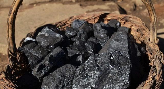 科学家 假如地球上森林增加一倍,会发生什么?科学家:后果将难以承受