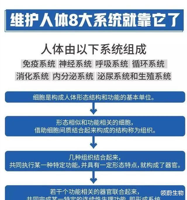 科学家 详解干细胞如何保护人体八大系统，从而让人类获得健康长寿的奥秘