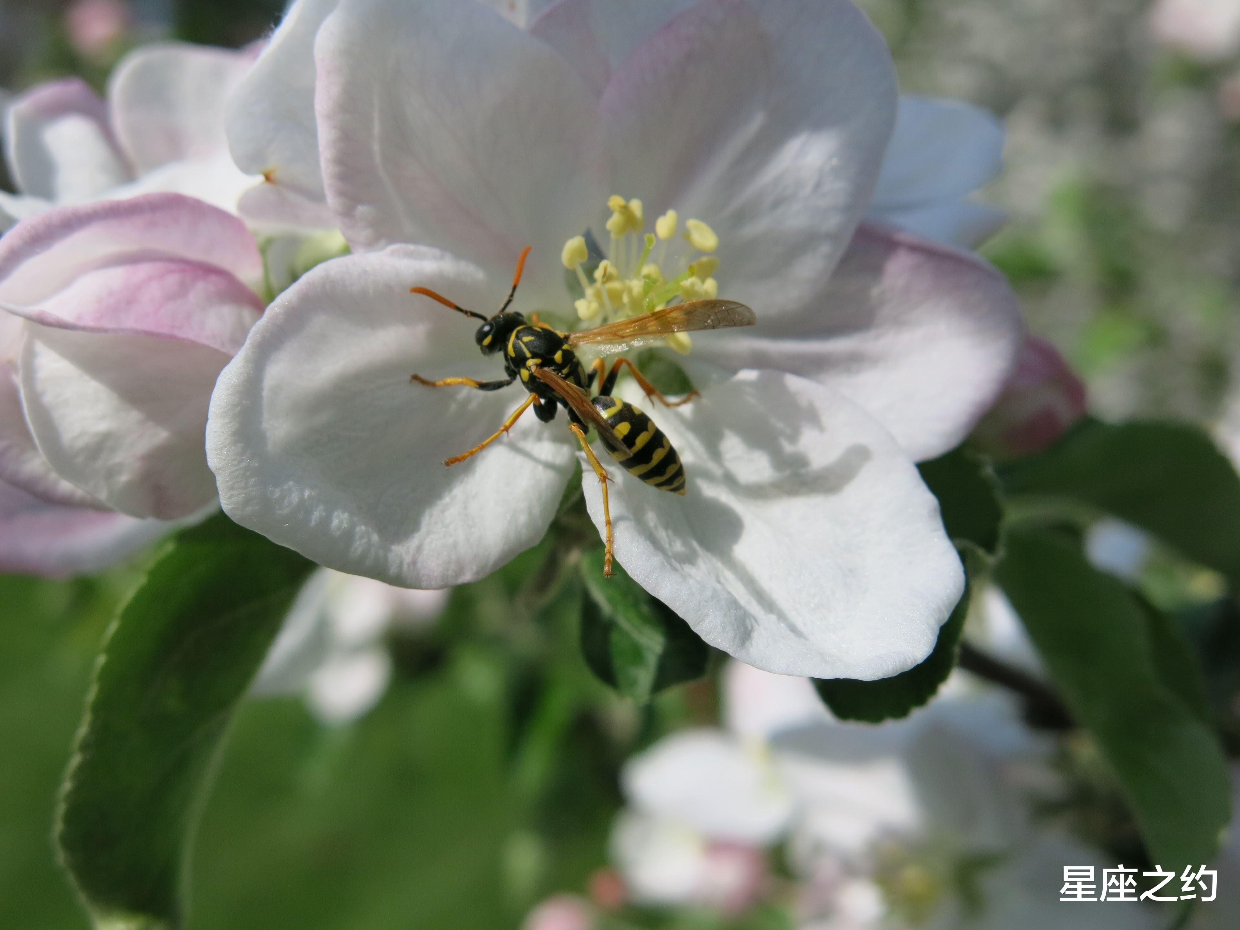 星座运势|2月12日星座运势：金牛积极主动，狮子劳逸结合，射手干劲十足