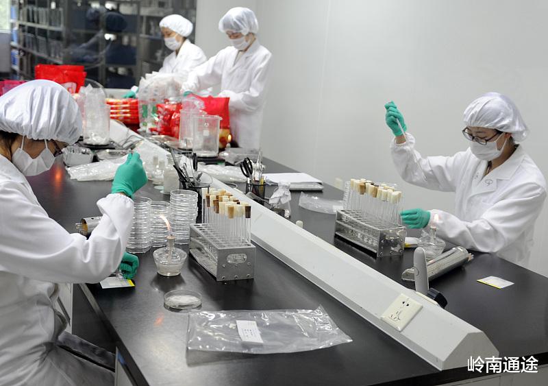 求职|26岁大专学历,找工作很迷茫怎么办?放下架子,这几个考虑都不错