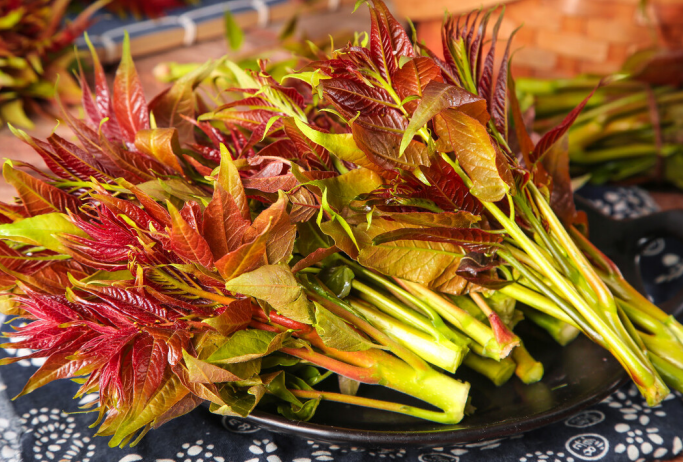 韭菜|吃韭菜会使血压升高？医生：想要血压稳定，不要碰或少碰3种素食