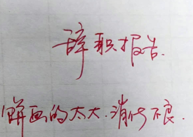 咸蛋的小姐 “00后的辞职报告能有多绝?”哈哈哈哈哈这么任性这么理直气壮吗?