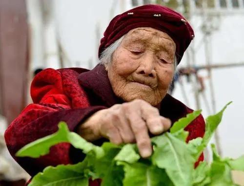 林小雪|活到多少岁，才算是长寿？医生：若能到这个岁数，已经很幸福了