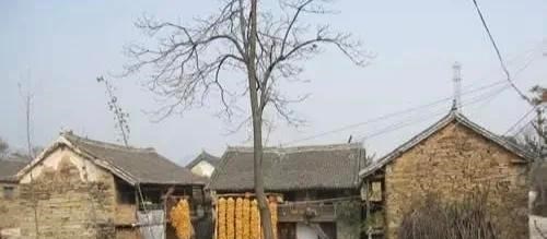 飞机 农村俗语：与人不和，劝人养鹅；与人不睦，劝人架屋，有道理吗？