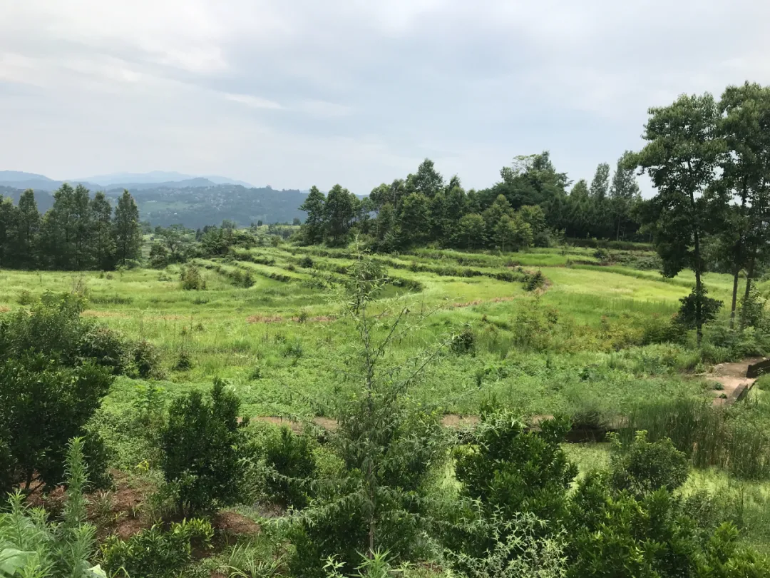 |风水寻地记，如玉盘之高山窝穴阴宅风水美地分享（多图）