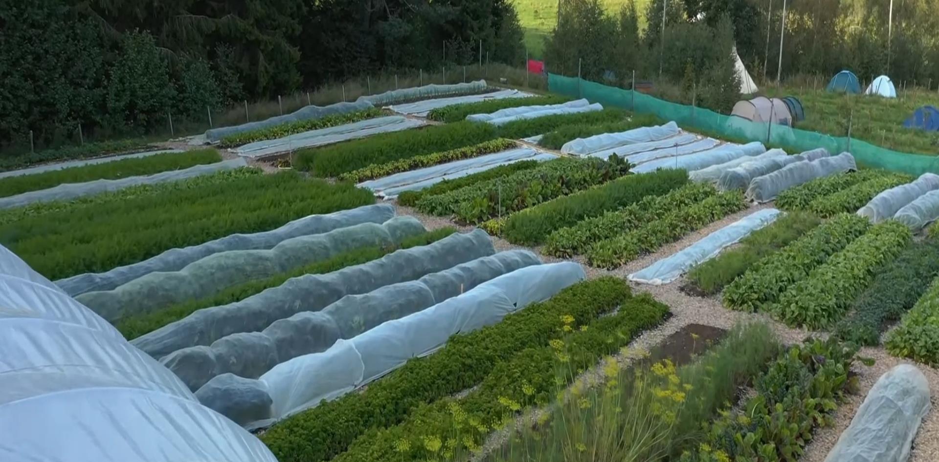 瑞典|瑞典，是什么国家？曾经的北欧霸主