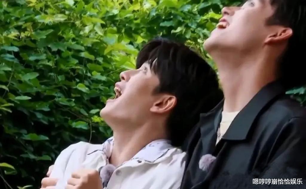 洛杉矶|在别人眼中是香饽饽的真人秀,任嘉伦竟说比拍戏还累,真没搞错?