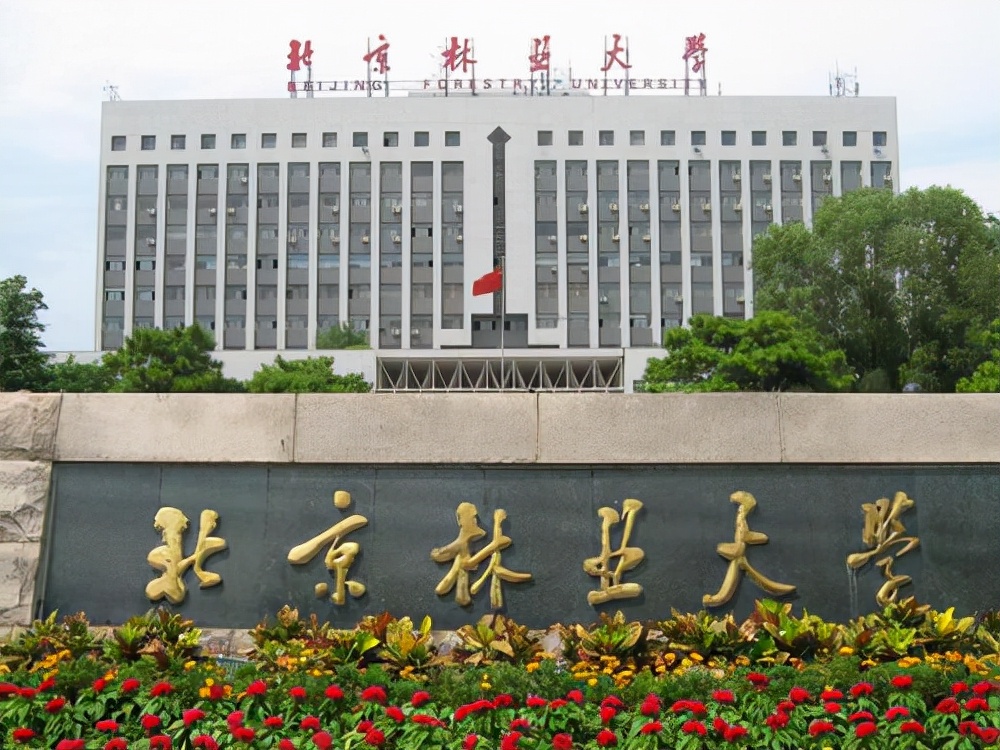 考研|风景园林取消一级学科：北林哭了，建筑老八校哭了，考研的也哭了
