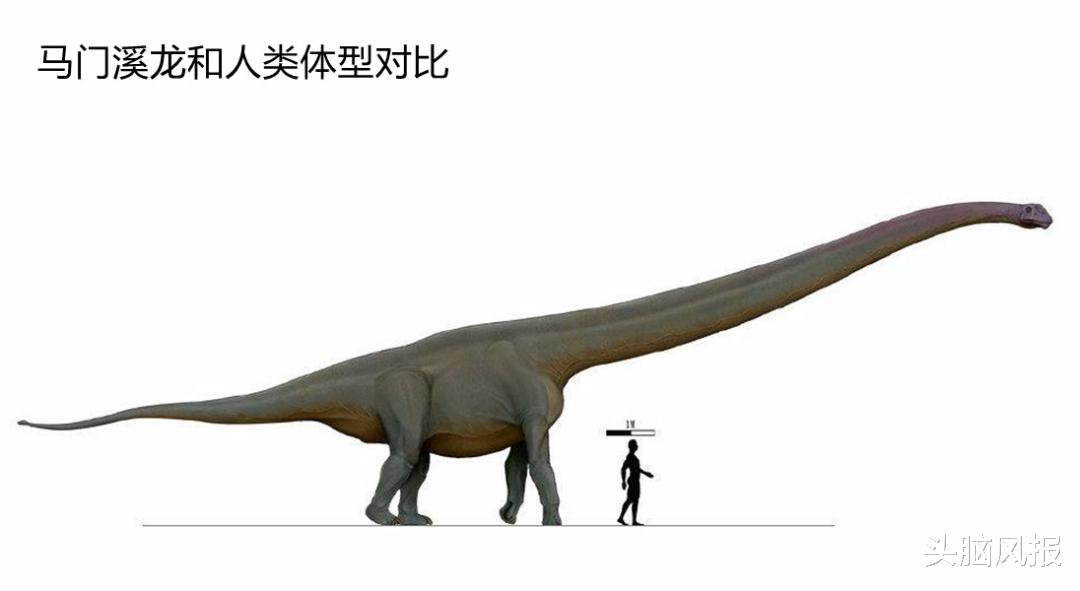 地球2.3亿年前下了场200万年的雨,帮恐龙塑造一亿六千万年霸业