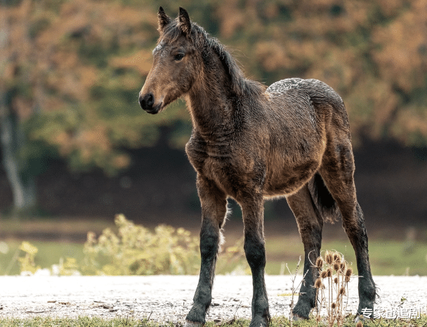 |在孩子面前秀恩爱，你敢吗？