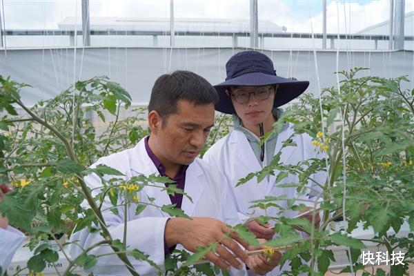 袁隆平团队发布“耐热超级稻” 世界顶级科学家点赞新农人
