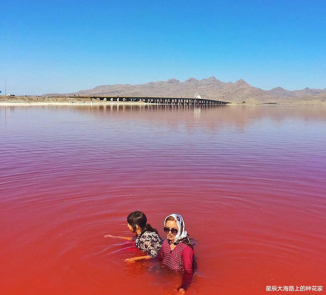 伊朗血紅湖、科威特氣溫超70度，霍金預言實現？人類該最壞打算？-圖2