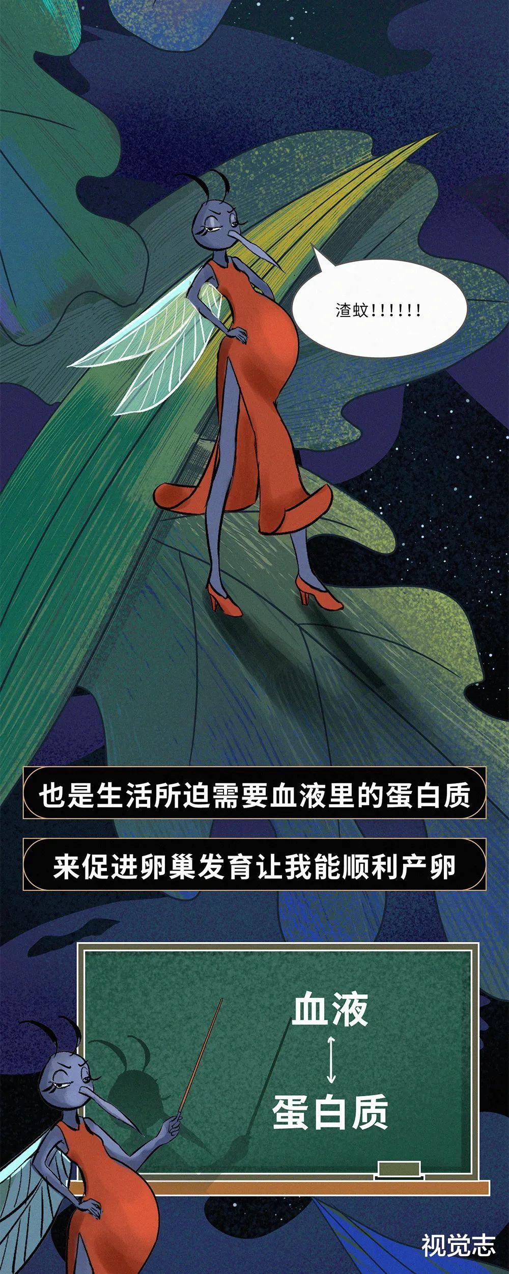 视觉志|因为「她」,我给了自己一巴掌。