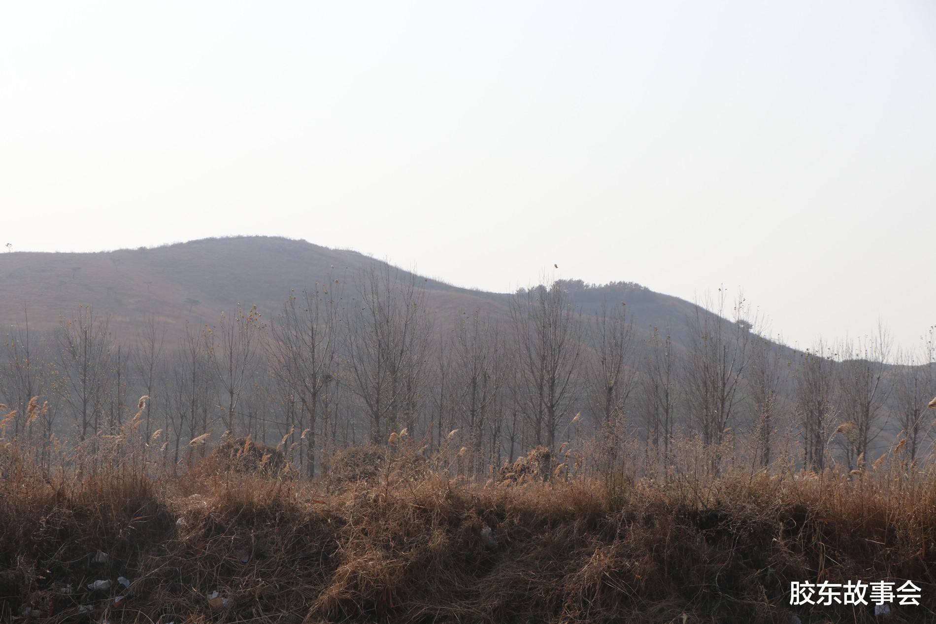 胶东故事会 盘点一些比较有招远特色的姓氏，温、路、原、欧、考在列