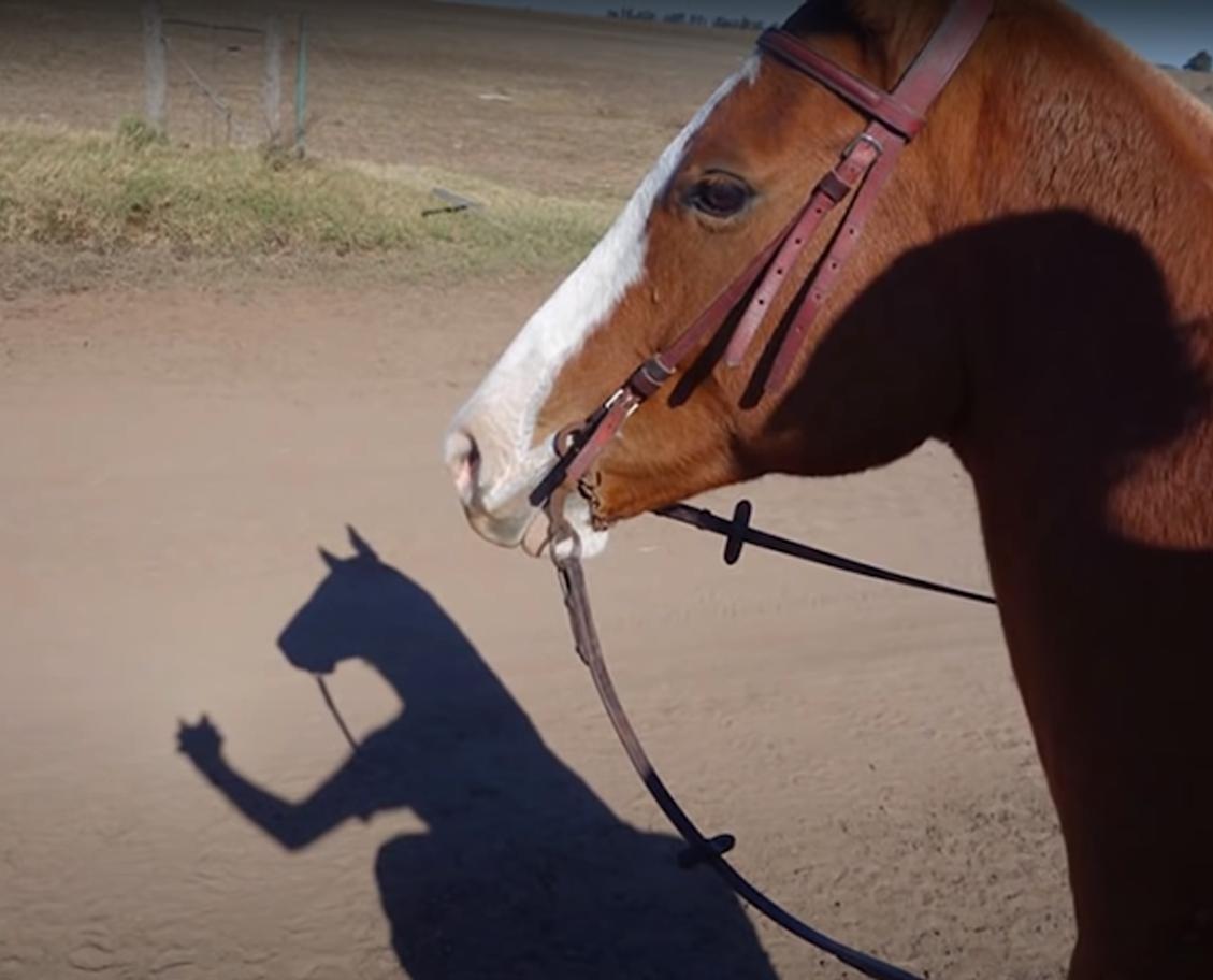 海之归墟|32张不可思议的照片,证明影子也会“骗人”