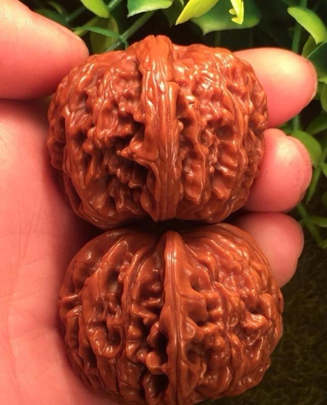 钱币|盘核桃不再需要3冬2夏了,这6种文玩核桃,上色包浆贼快!