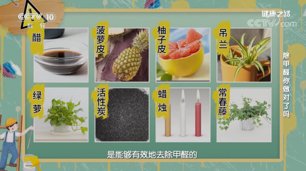 LoveYoung爱尚氧芭|实验告诉你，哪些东西不能除醛，哪些可以！