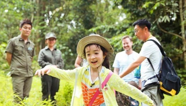 综艺节目|造假、毁三观、误导青少年，这4档综艺被禁播一点都不冤！