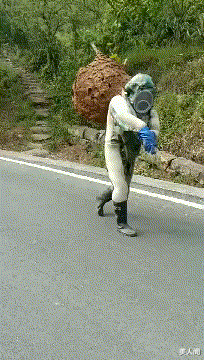 美人閣 我們工地都成了快樂的游戲場，哈哈哈