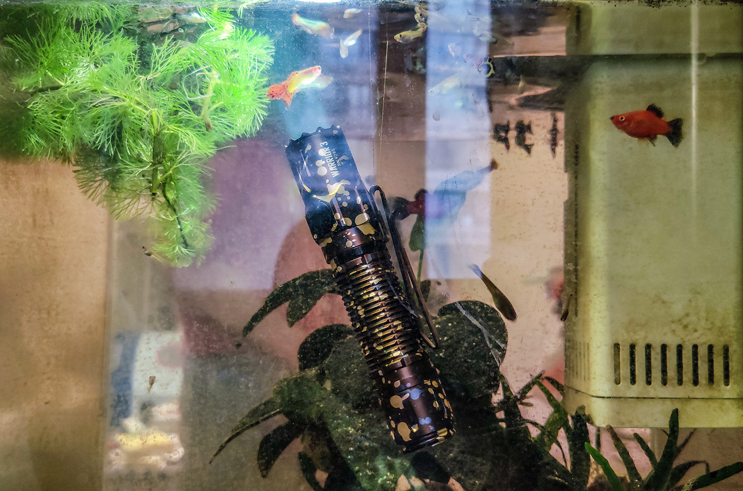 電池|彩裝硬漢、性能強悍：傲雷武士3戰術手電