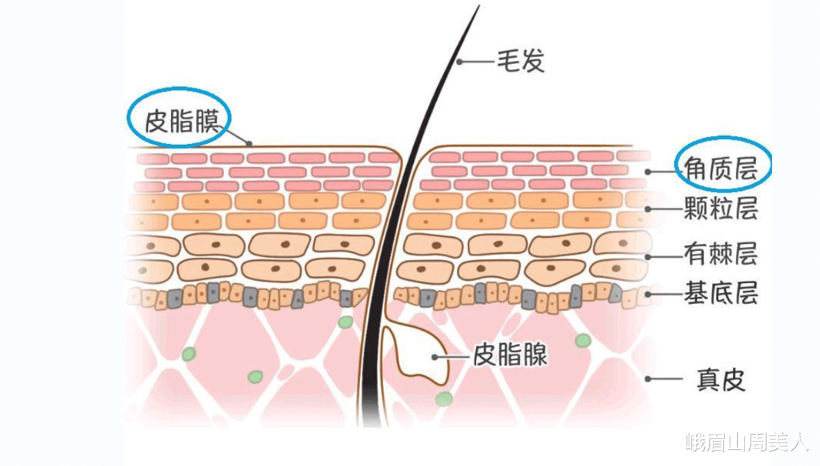 防晒|?女人涂防晒霜要牢记3个“不要”，不然涂了也白涂！很多人忽视了