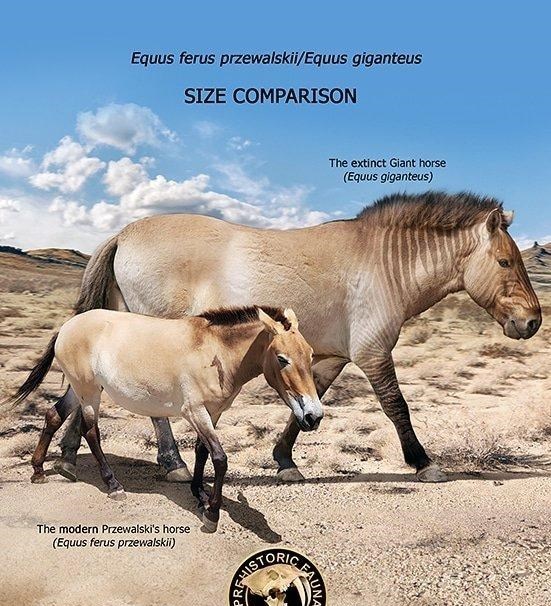 百哥曰|「现代野兽VS远古先祖」对比照,动物们的“变化”真是太大了!