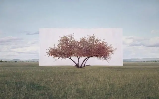 情感语录生活感悟|值得分享品读的人生格言，看完大彻大悟！