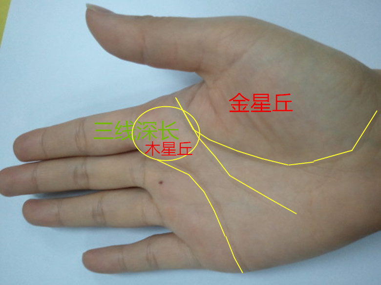 诚然情感之事|手相：掌中这2个部位高凸丰隆，容易身体健康有名利