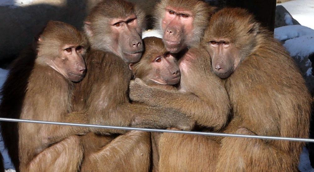 工业互联网 前年芯片，去年新能源，今年机构抱团目标或是它！