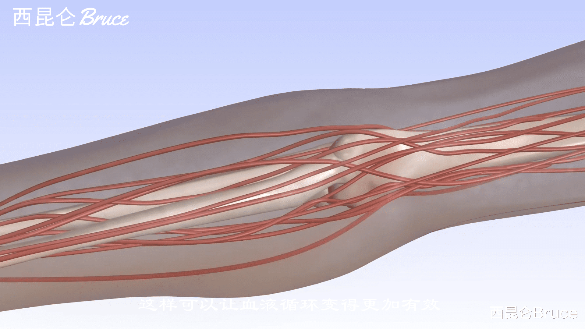 夏娃 假如你出生在火星上，会有何特征呢？回到地球，能够生存吗