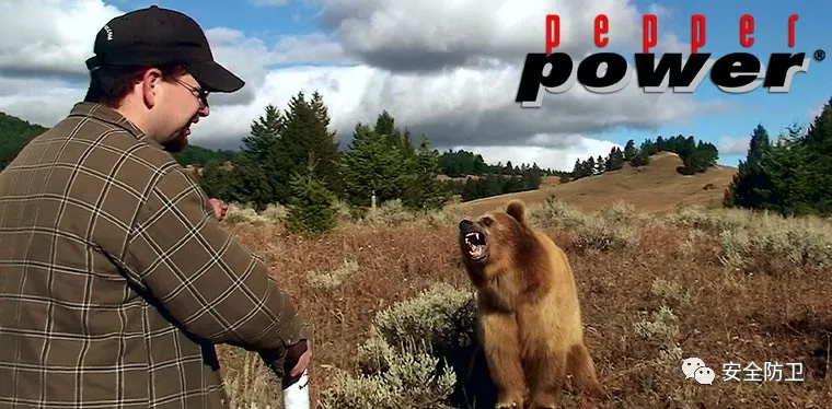 狮子 野外被动物咬？除了等死，你要了解这些求生技能