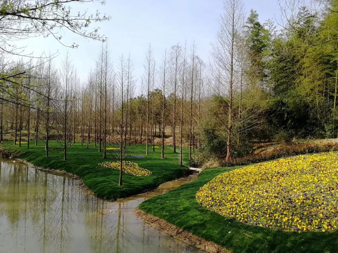 溧阳快报 省里点赞!建设生态安全缓冲区,天目湖这样做!