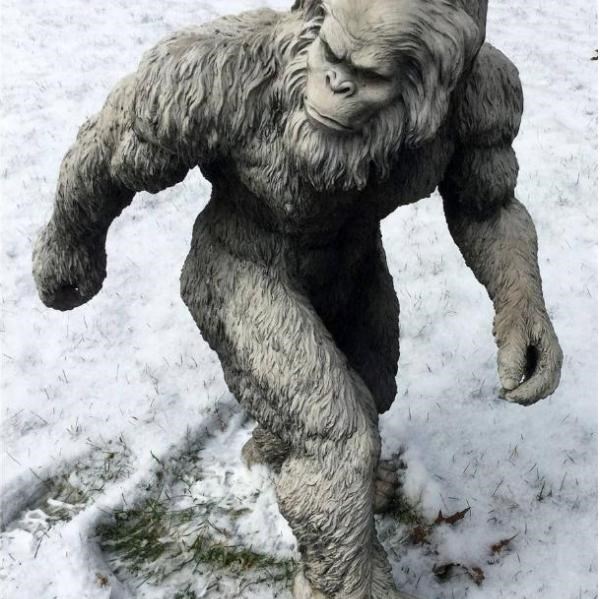 喜马拉雅山|“雪人”现身喜马拉雅山，高智商攻击性强，难道是变异得来的