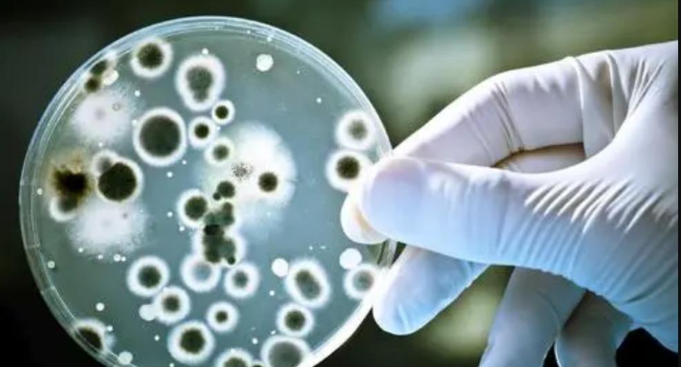 情微说 NASA要找回月球上的96袋纸尿裤？半世纪后，成“野生实验室”