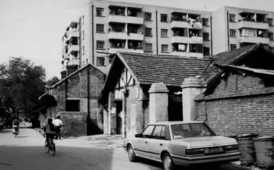 老人与狗|1993年，他带狗参演电影《老人与狗》，拍完后人狗都被判处了死刑