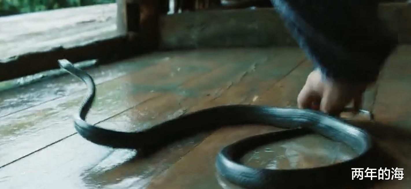 功勋|《功勋》英雄的婚恋特点：一见钟情，女追男百年好合，否则多离散