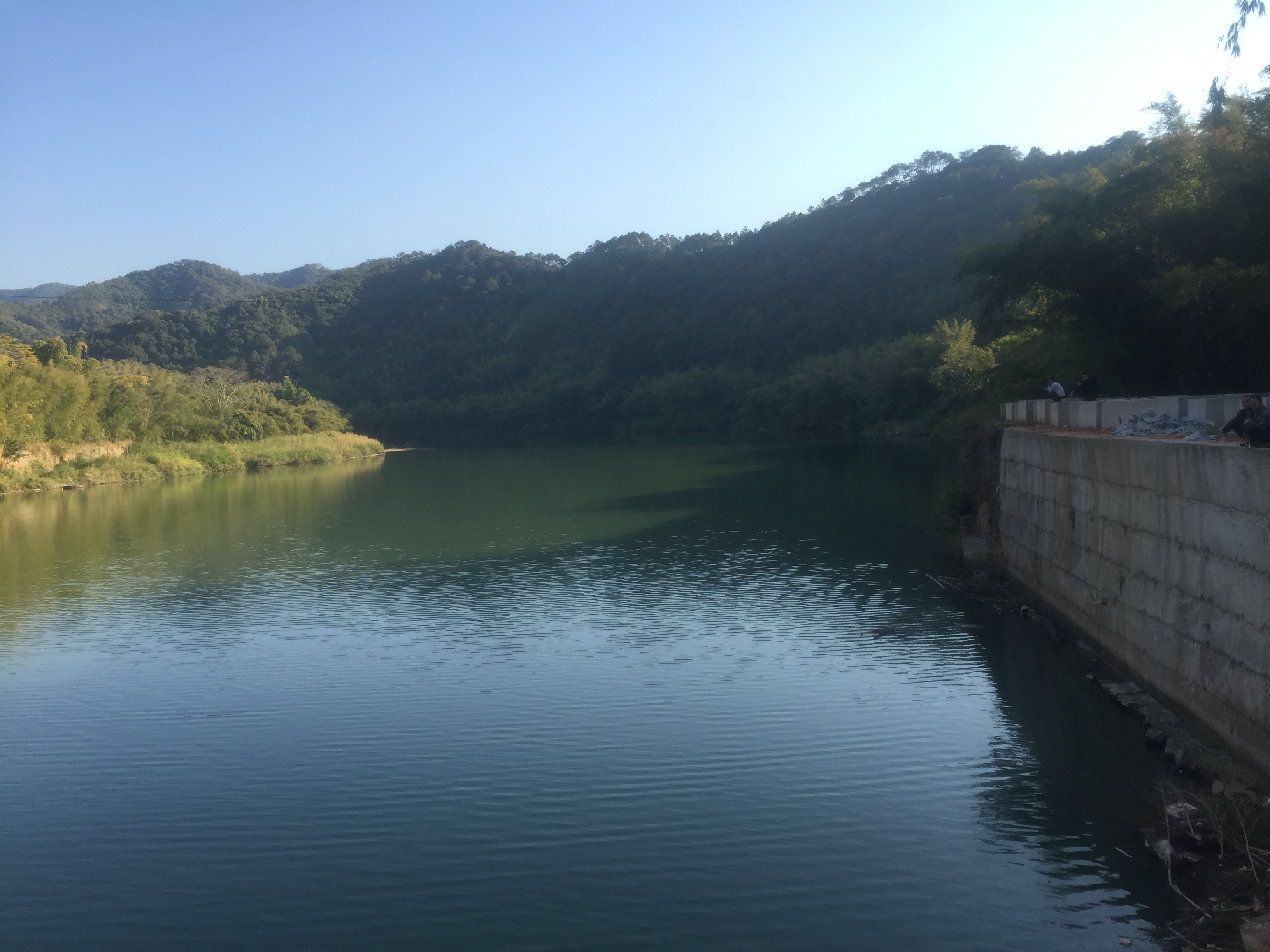 森林驴 曾为唐时“岭南五府”之一,容县为什么后来又衰落了呢